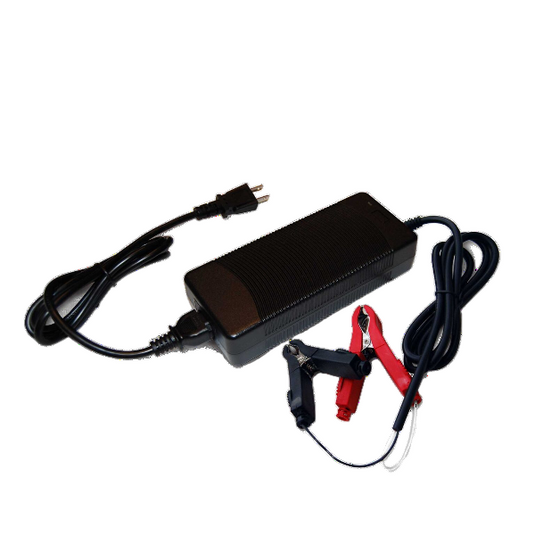 Chargeur LiFePO4 12V 10A