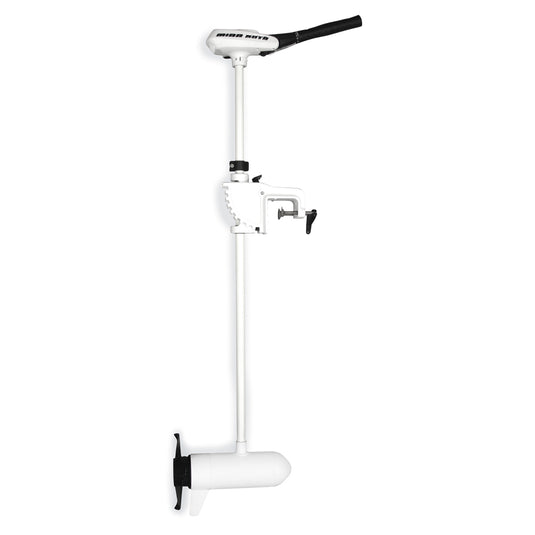 RT Transom 24V 80lb 42 in