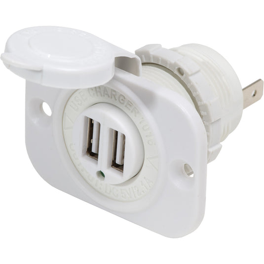 12V DC Dual USB Charger Socket