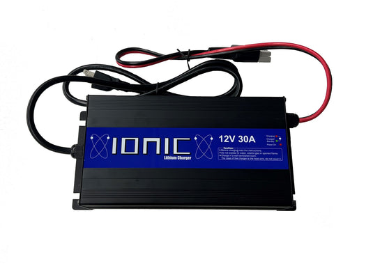 Chargeur individuel 12 V 30 A