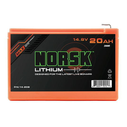 20AH Lithium Ion Battery with Charger Kit