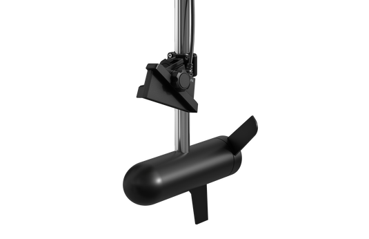 LiveScope Plus LVS34 Transducer