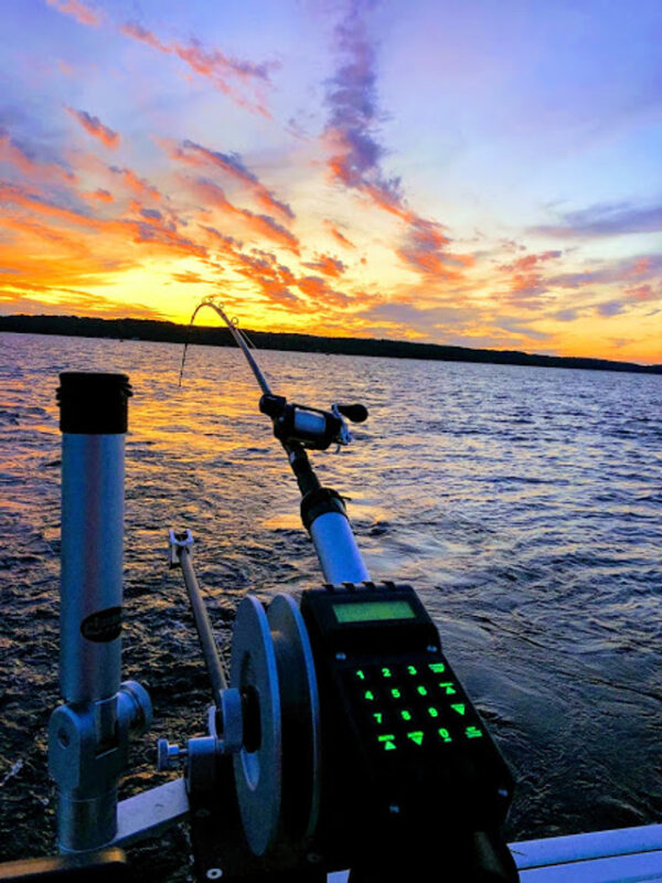 Traxstech Downrigger Elite Series - Image 2